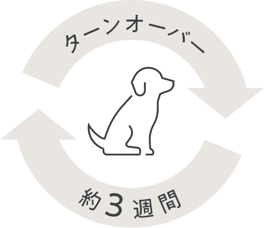 ターンオーバー約3週間