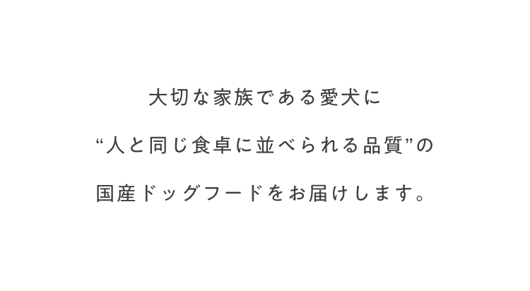 大切な家族である愛犬に