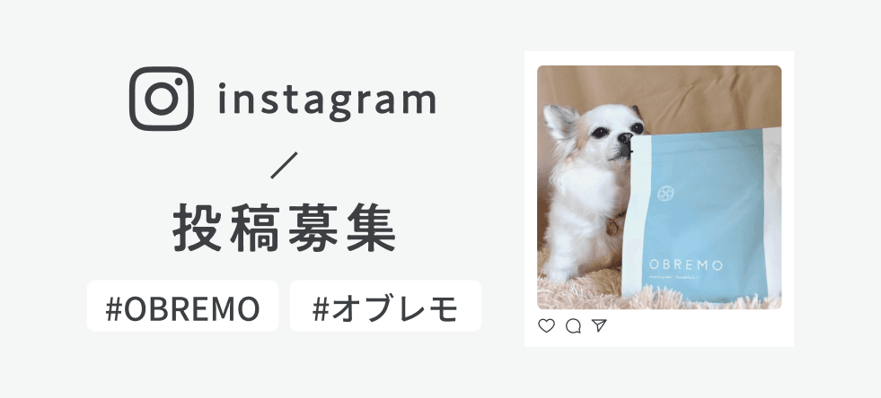 Instagram投稿募集バナー