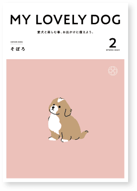 SPRING 2025 サムネイル