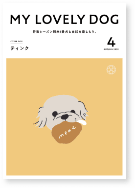 AUTUMN 2025 サムネイル