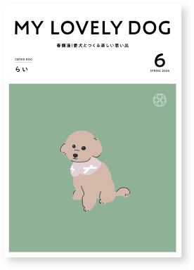 SPRING 2026 サムネイル