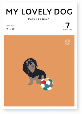 SUMMER 2026 サムネイル