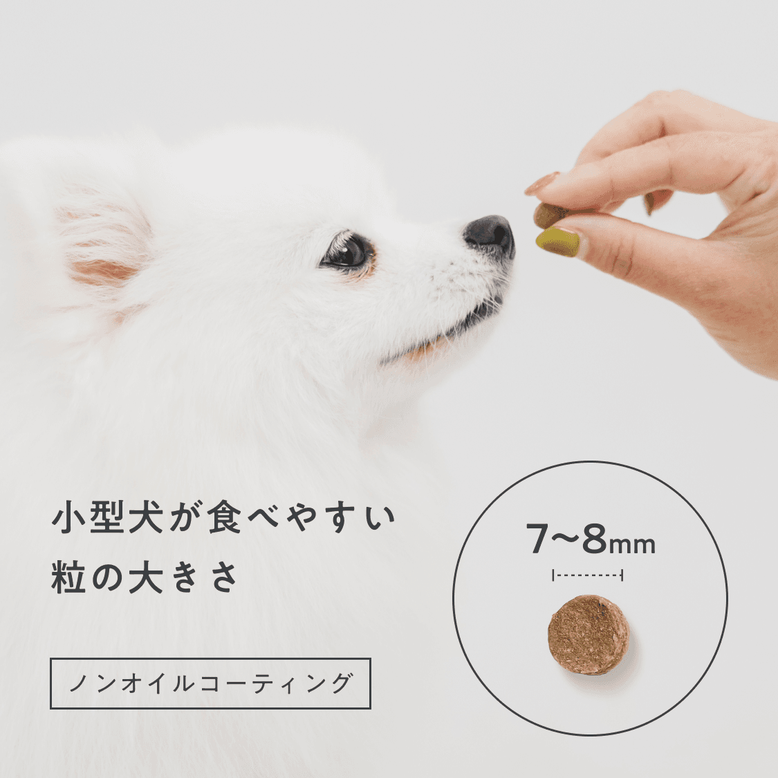 鶏肉（子犬・全年齢用）800g｜国産・小型犬用 OBREMO