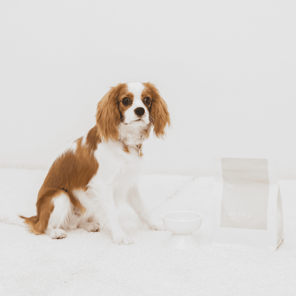 鶏肉（子犬・全年齢用）800g｜国産・小型犬用 OBREMO