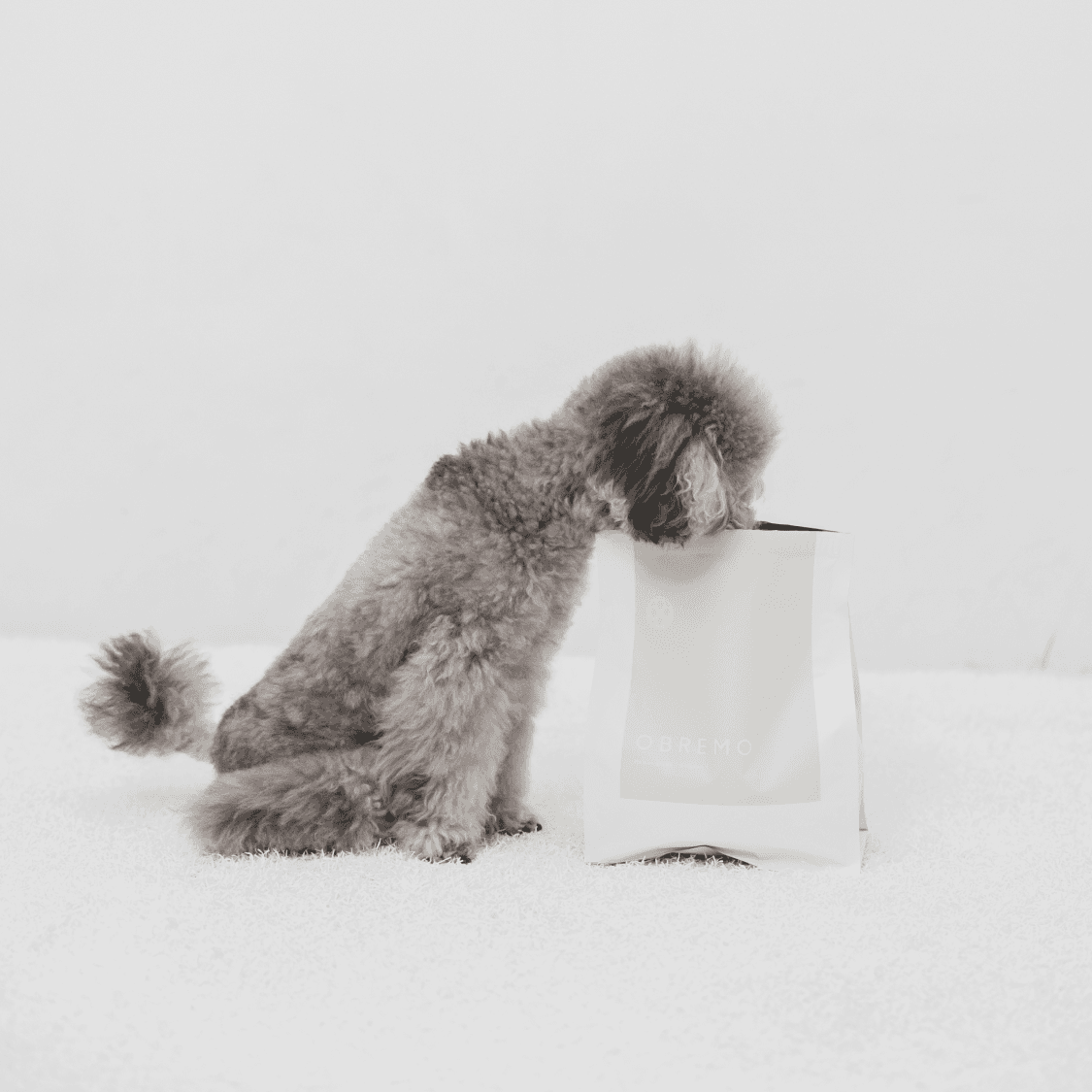 鶏肉（子犬・全年齢用）800g｜国産・小型犬用 OBREMO