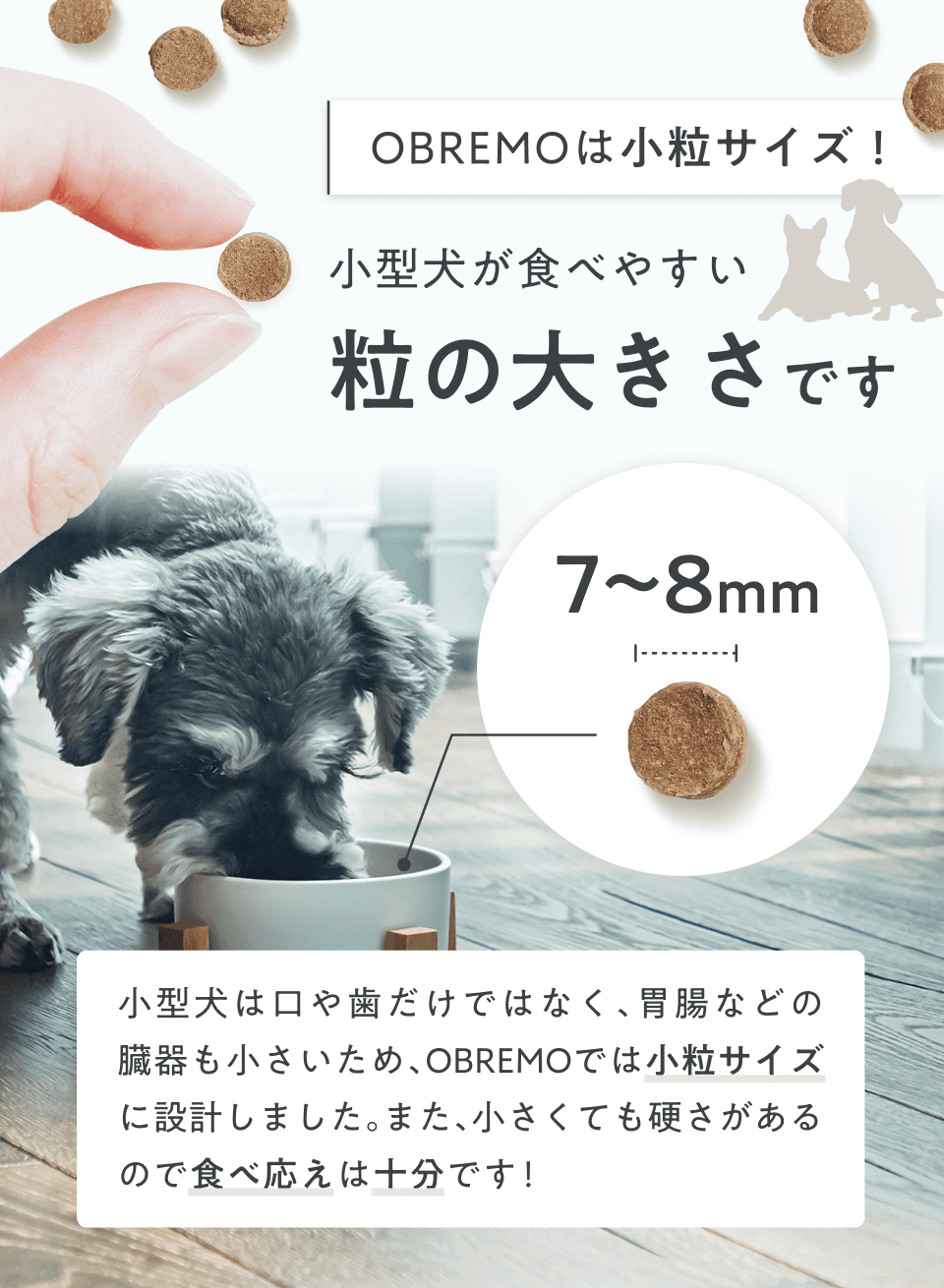 小型犬が食べやすい粒の大きさです