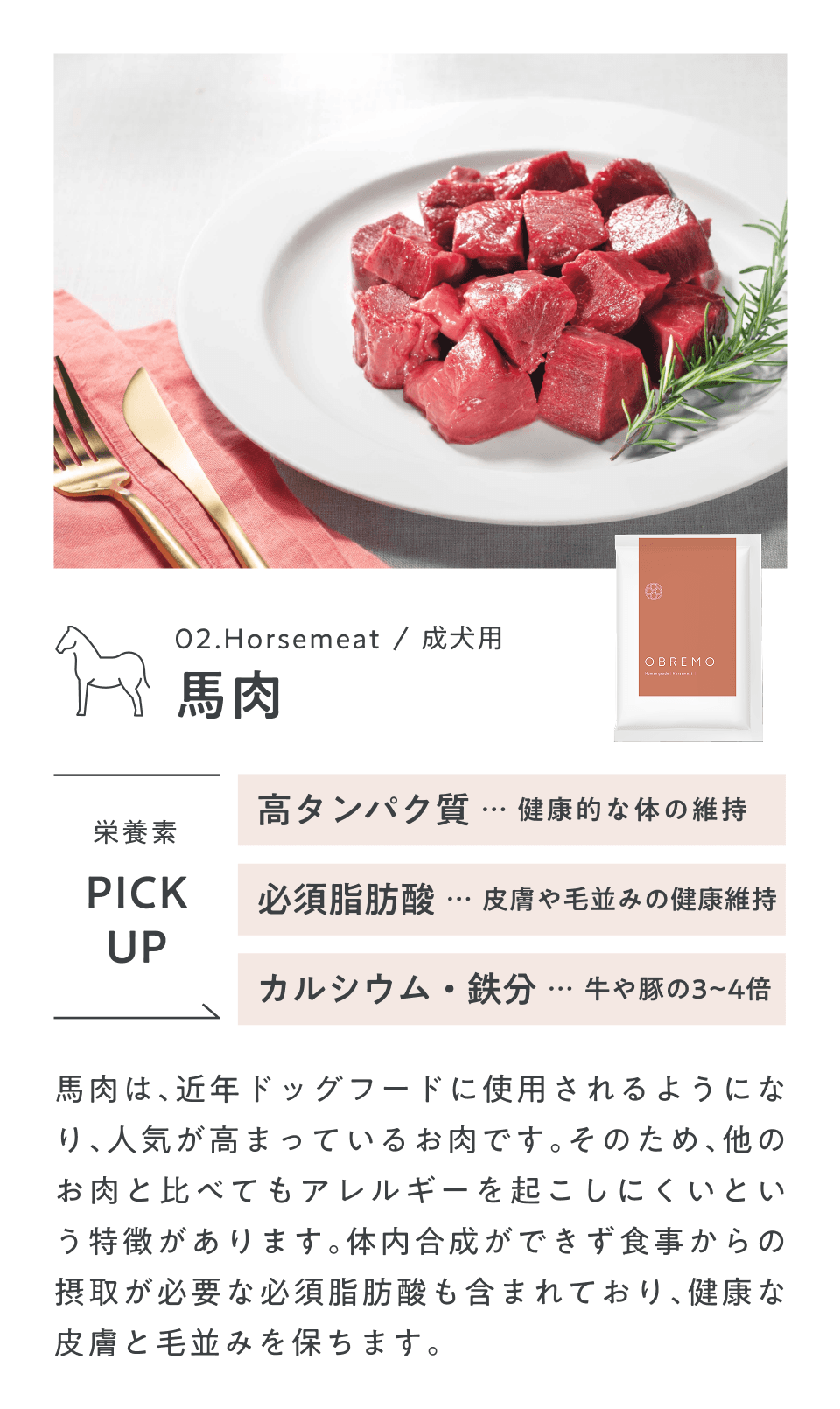 馬肉フード