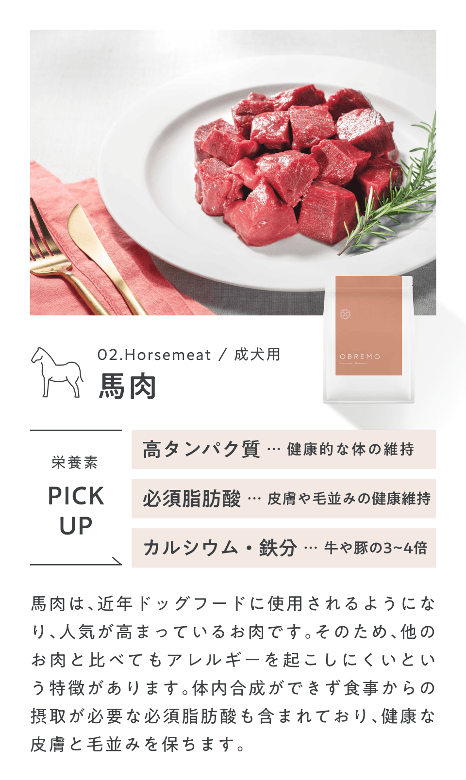 馬肉フード