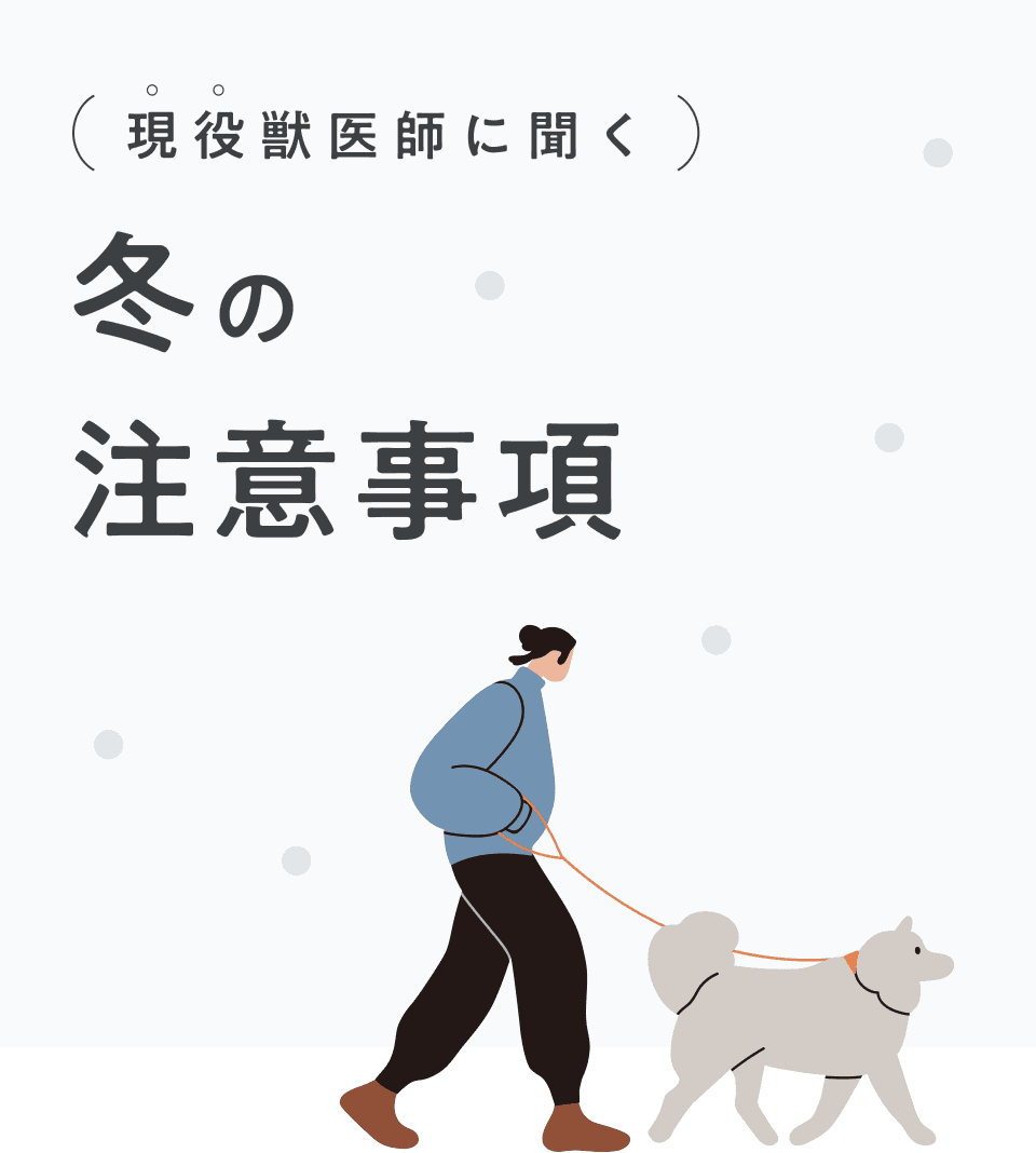現役獣医師に聞く 冬の注意事項