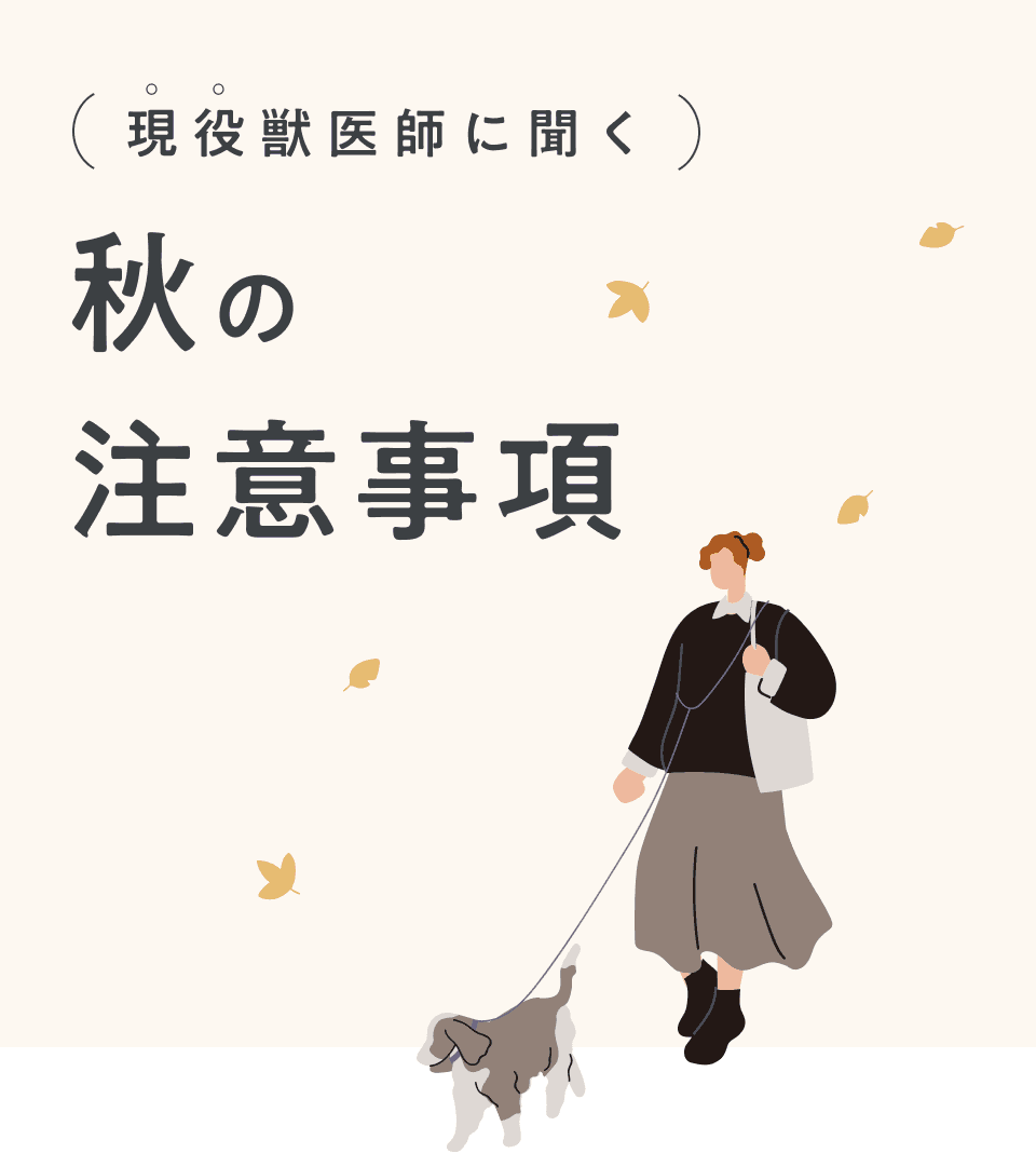 現役獣医師に聞く 夏の注意事項