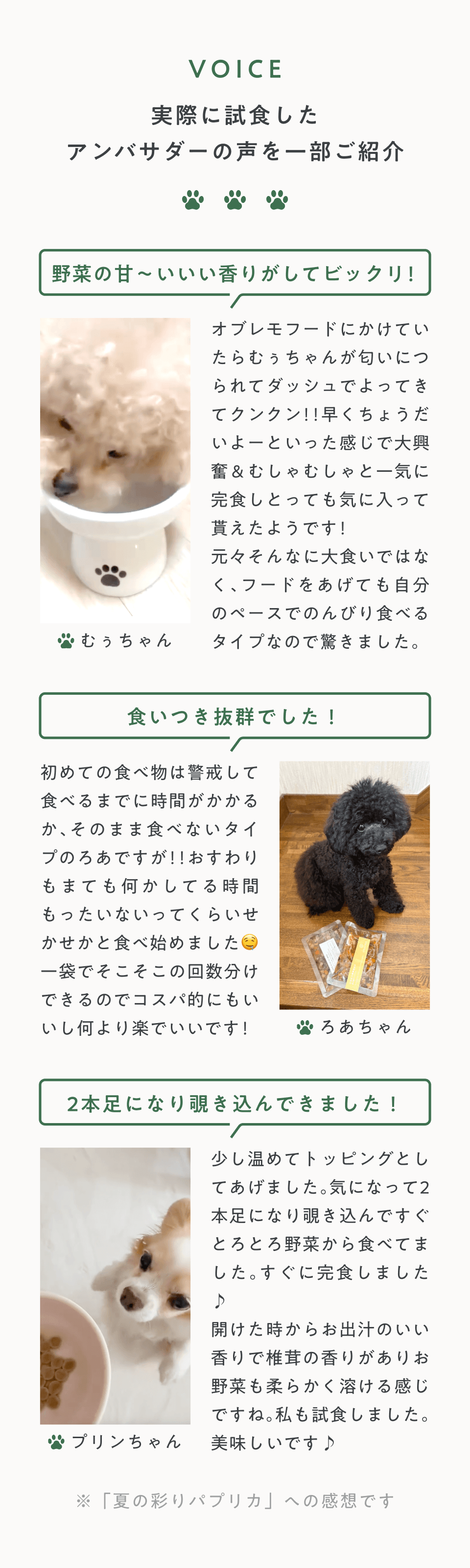 アンバサダーの声