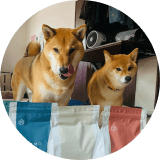 ワンちゃんのアイコン