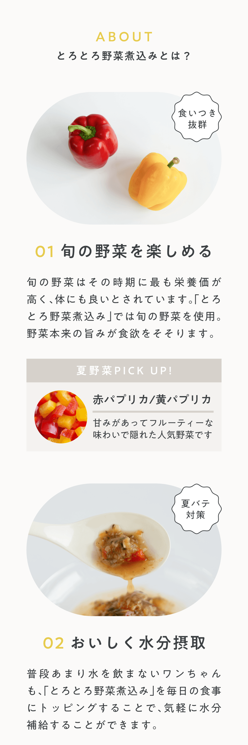 とろとろ野菜煮込みとは？_01_02
