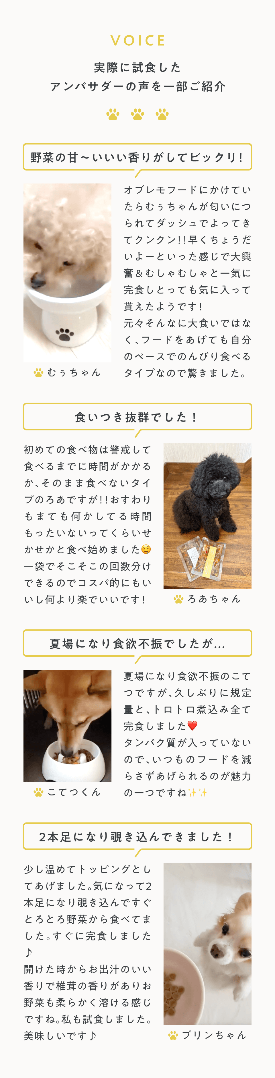 アンバサダーの声