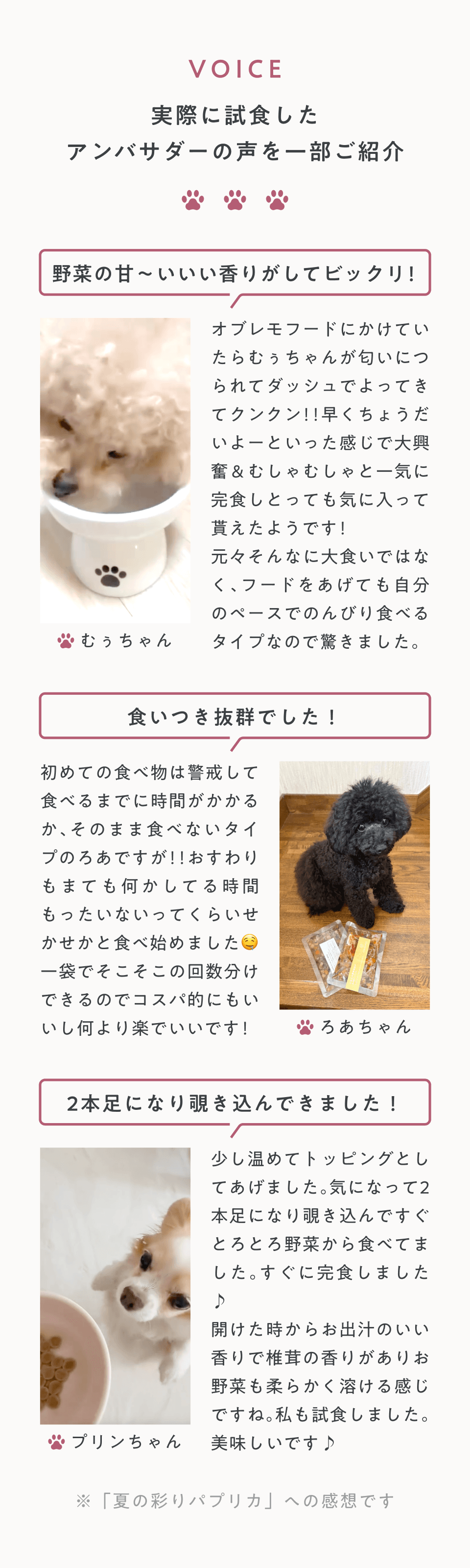 アンバサダーの声