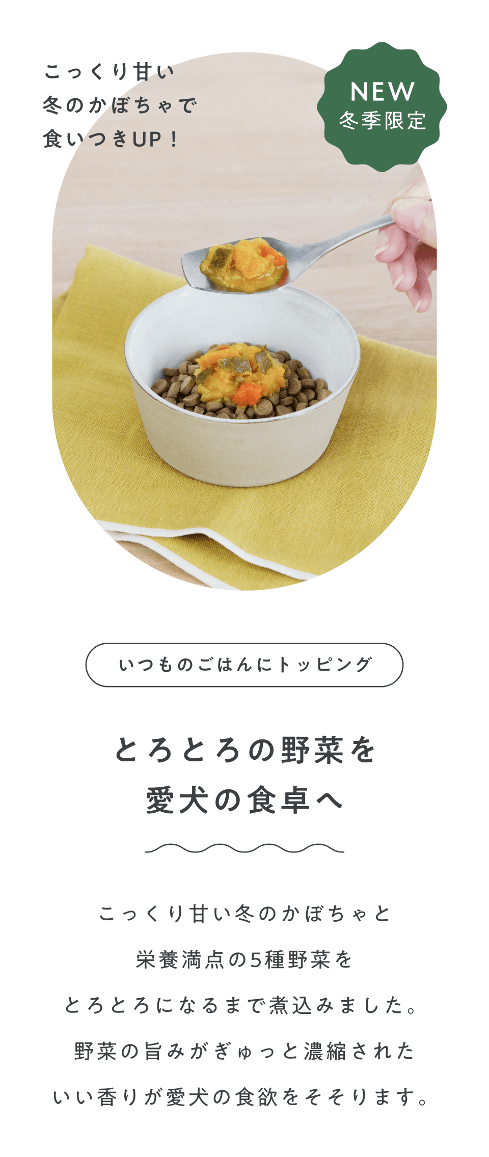 ファーストビュー