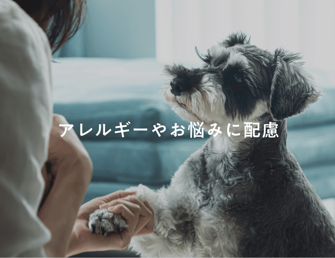 鶏肉（子犬・全年齢用）800g｜国産・小型犬用 OBREMO