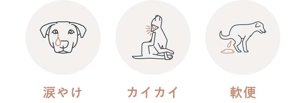 馬肉（成犬用）800g｜国産・小型犬用 OBREMO