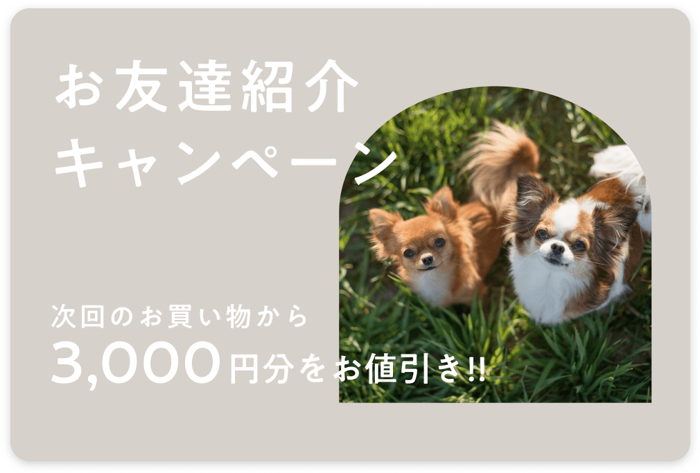 お友達紹介