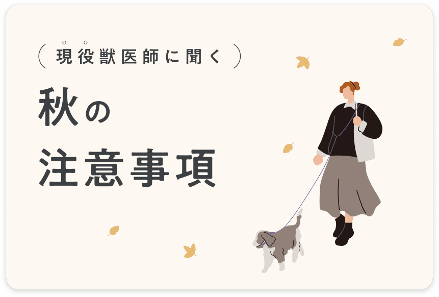 現役獣医師に聞く_秋の注意事項
