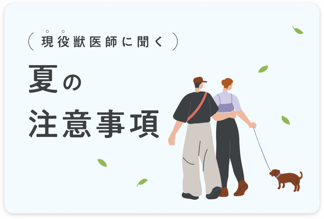 現役獣医師に聞く 夏の注意事項