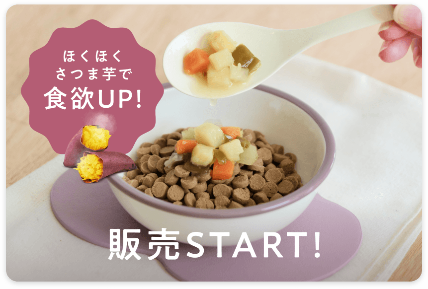 秋の味覚で食欲UP