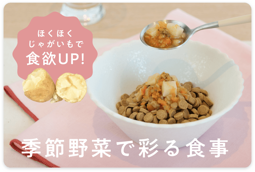 とろとろ野菜煮込み（春）