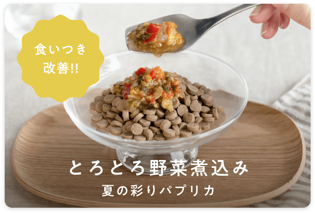 とろとろ野菜煮込み限定販売開始
