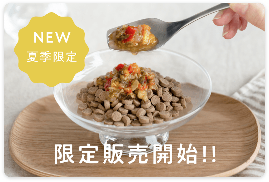 とろとろ野菜煮込み限定販売開始