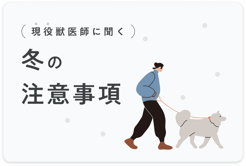現役獣医師に聞く_冬の注意事項