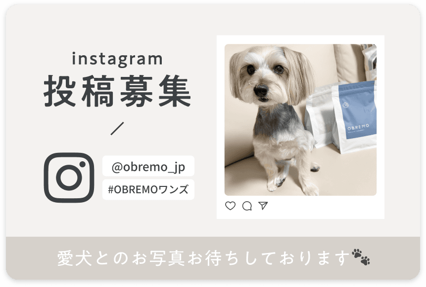 Instagram投稿募集