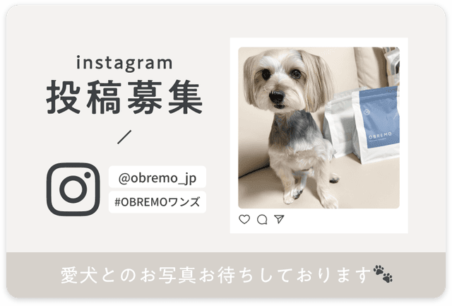 Instagram投稿募集
