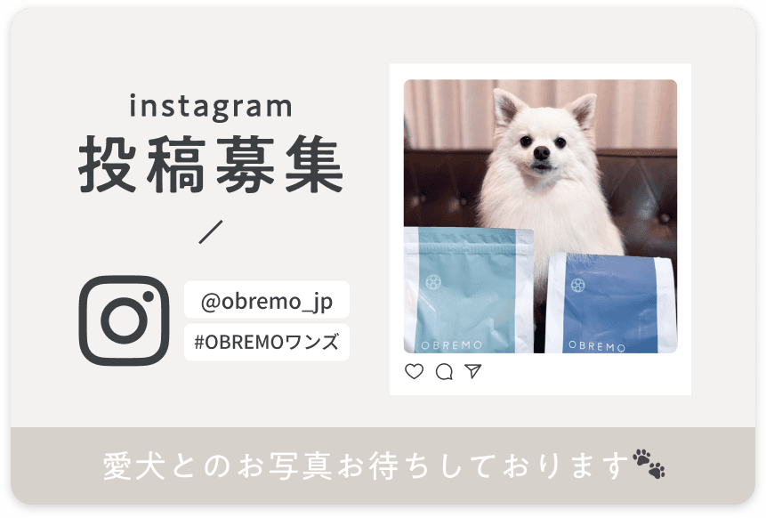 Instagram投稿募集