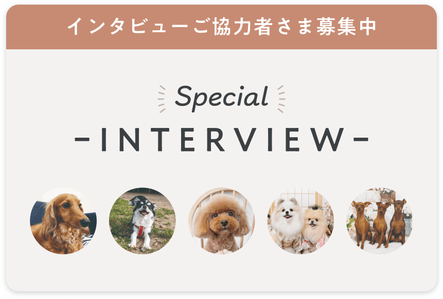 スペシャルインタビュー