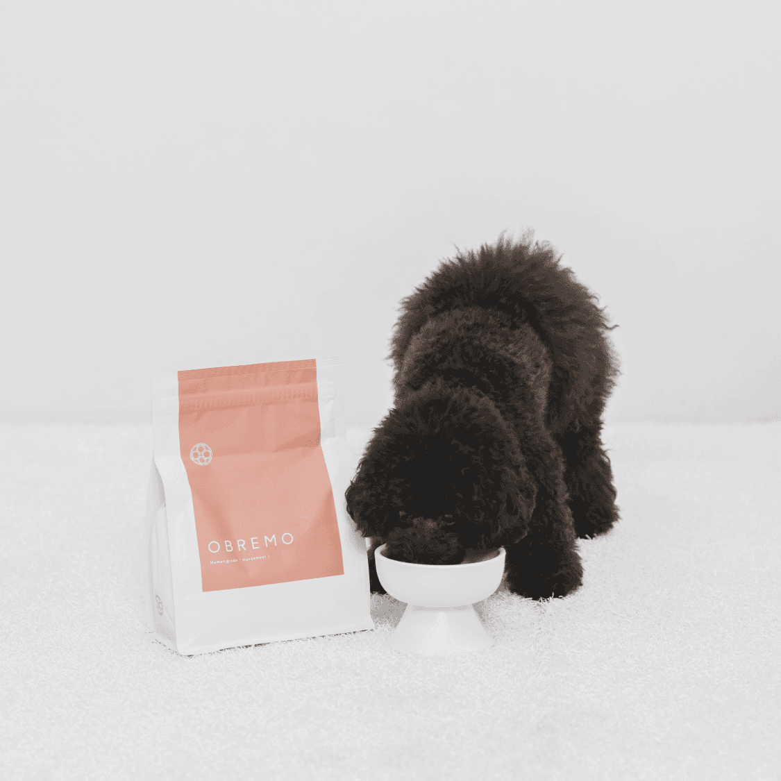 馬肉（成犬用）800g｜国産・小型犬用 OBREMO