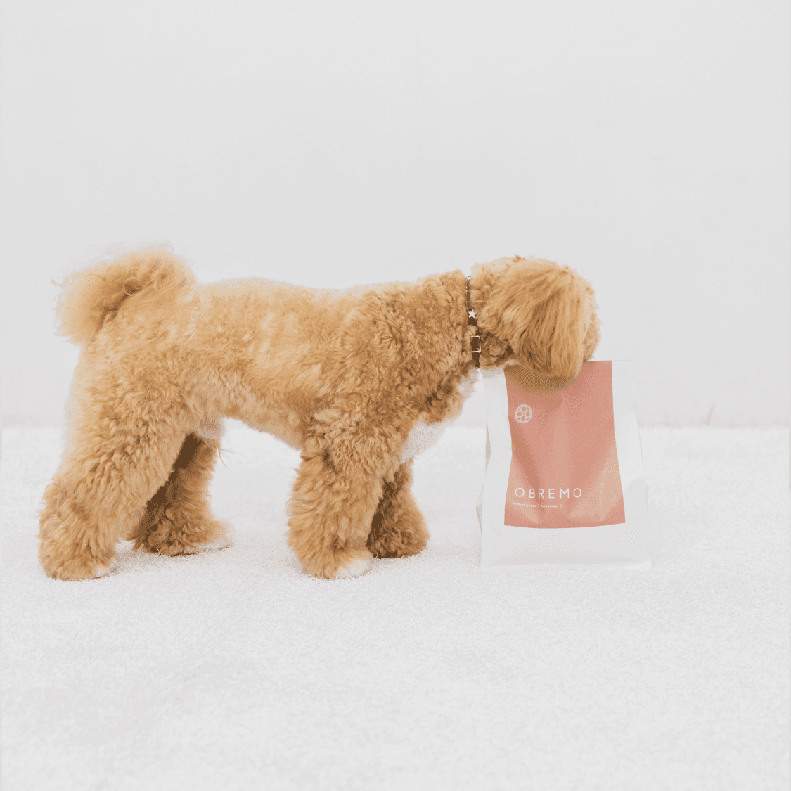 馬肉（成犬用）800g｜国産・小型犬用 OBREMO