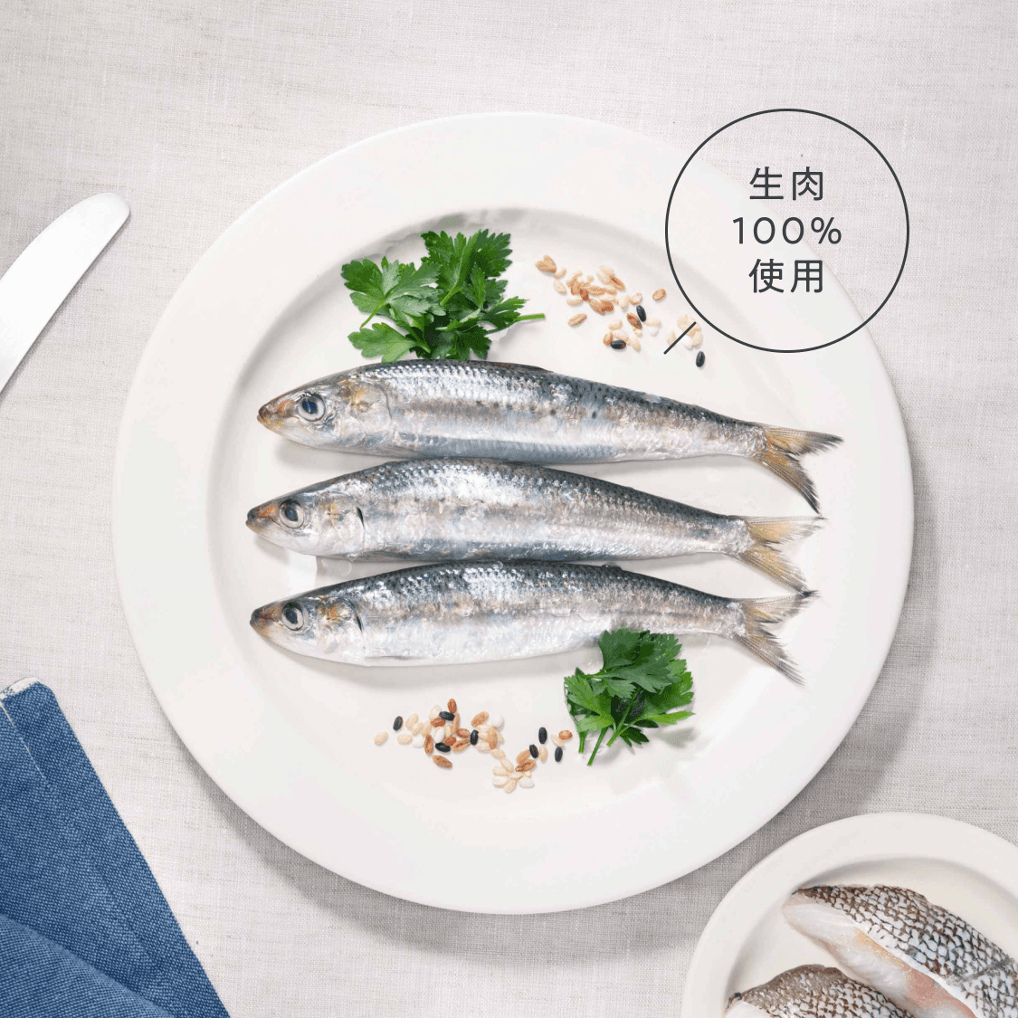 いわし＆たら（成犬用）800g｜国産・小型犬用 OBREMO