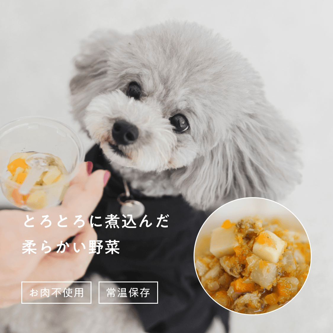 とろとろ野菜煮込み（春の陽だまりじゃがいも）