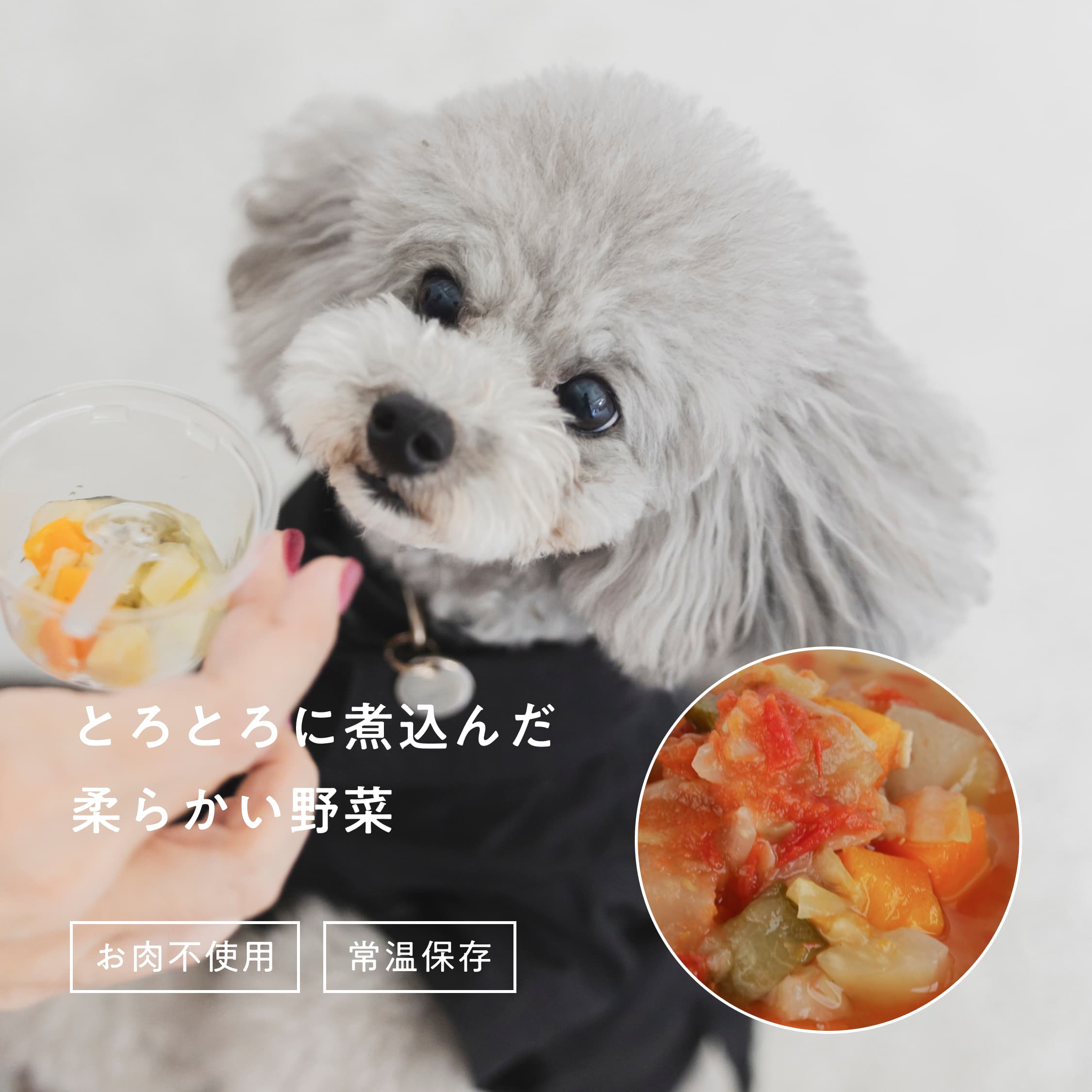 とろとろ野菜煮込み（夏の日差したっぷりトマト）