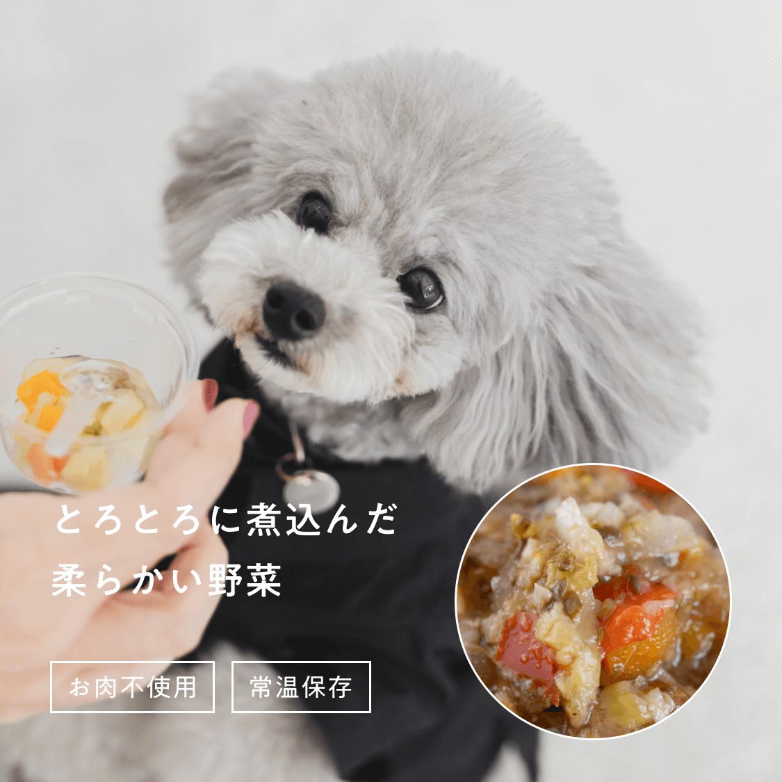 とろとろ野菜煮込み（夏の彩りパプリカ）