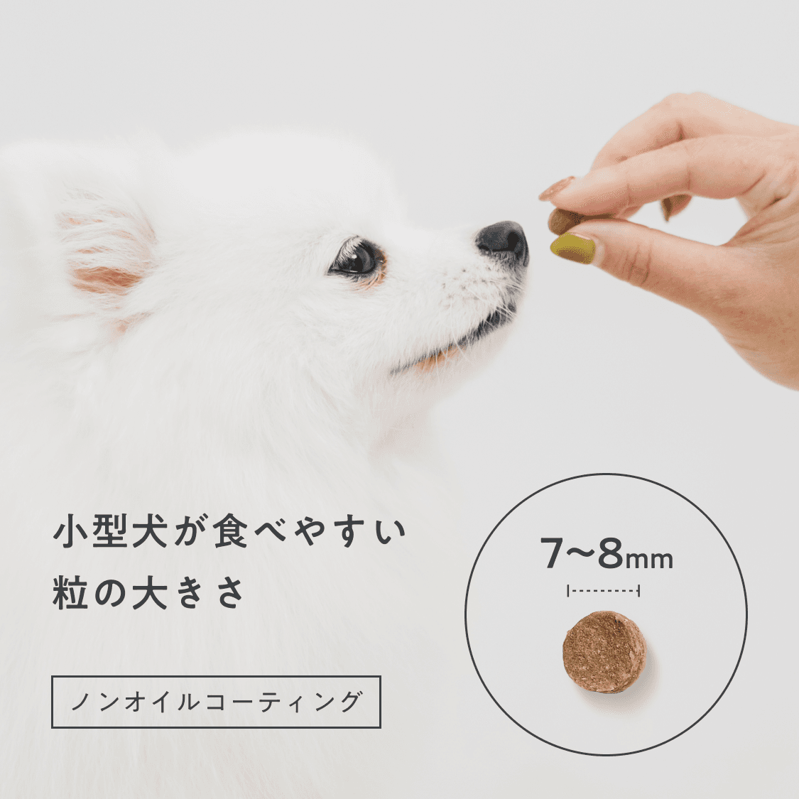 OBREMO ドッグフード 鶏肉とまぐろ＆たら それぞれ各800g まぐろ＆たら（成犬用）800g｜国産・小型犬用 OBREMO