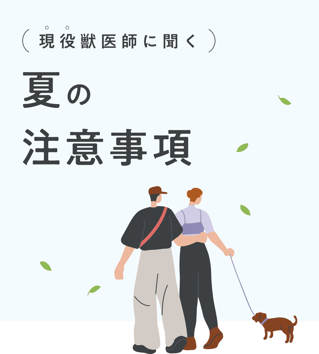 現役獣医師に聞く 夏の注意事項