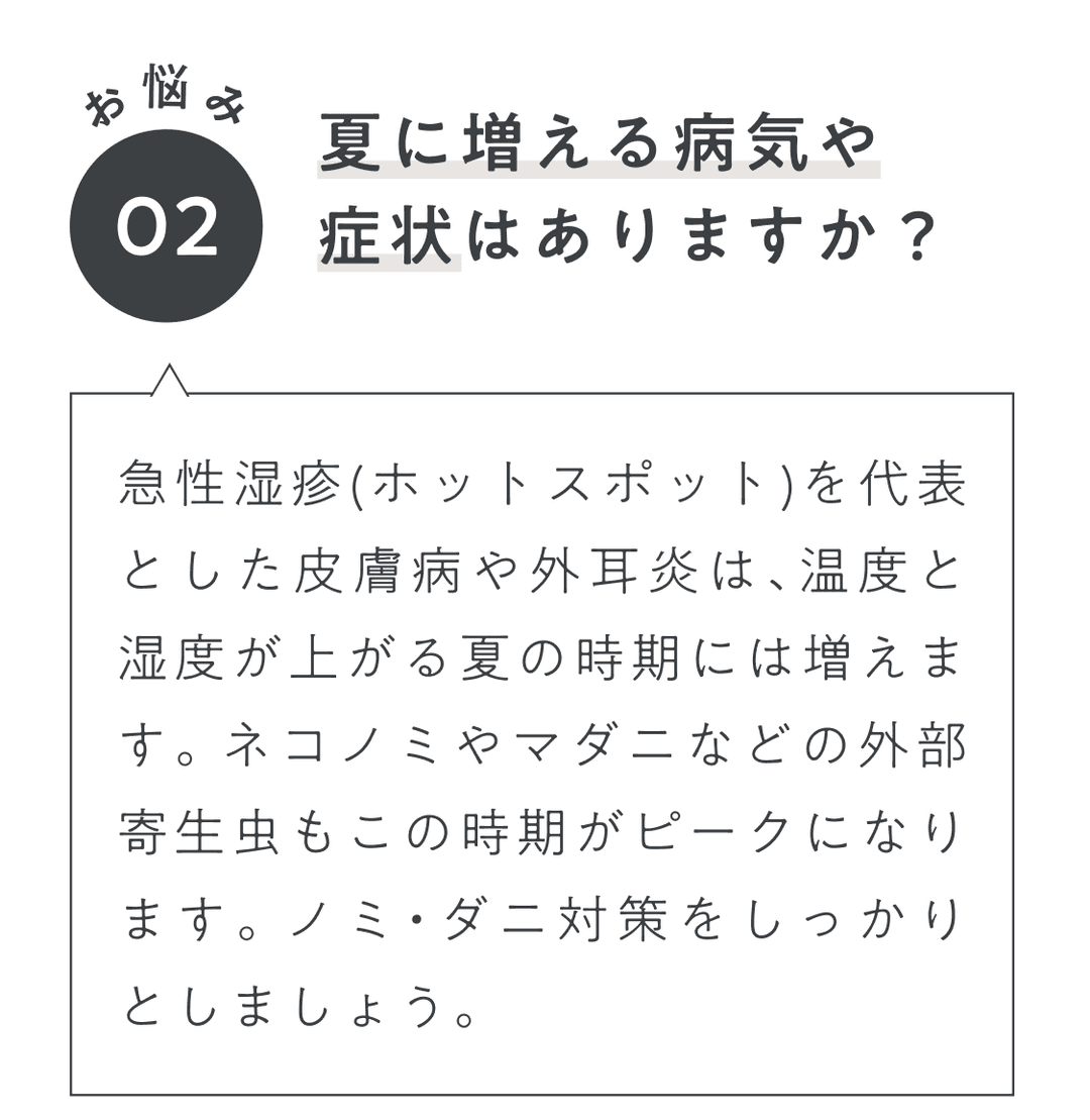 Q_02