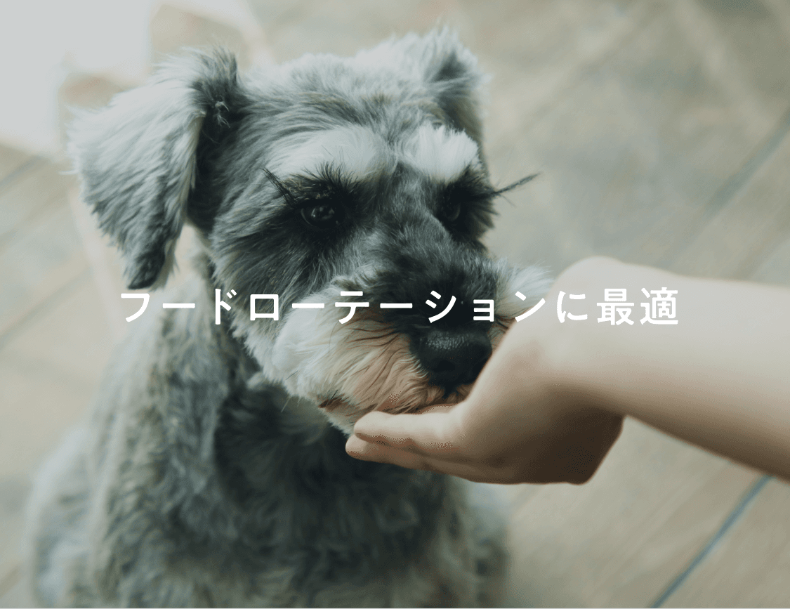 馬肉（成犬用）800g｜国産・小型犬用 OBREMO