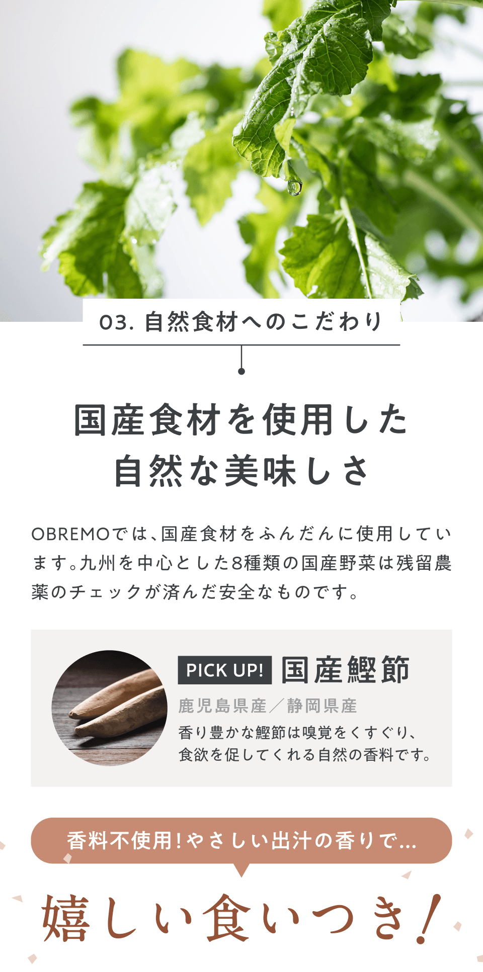 POINT3_自然食材へのこだわり