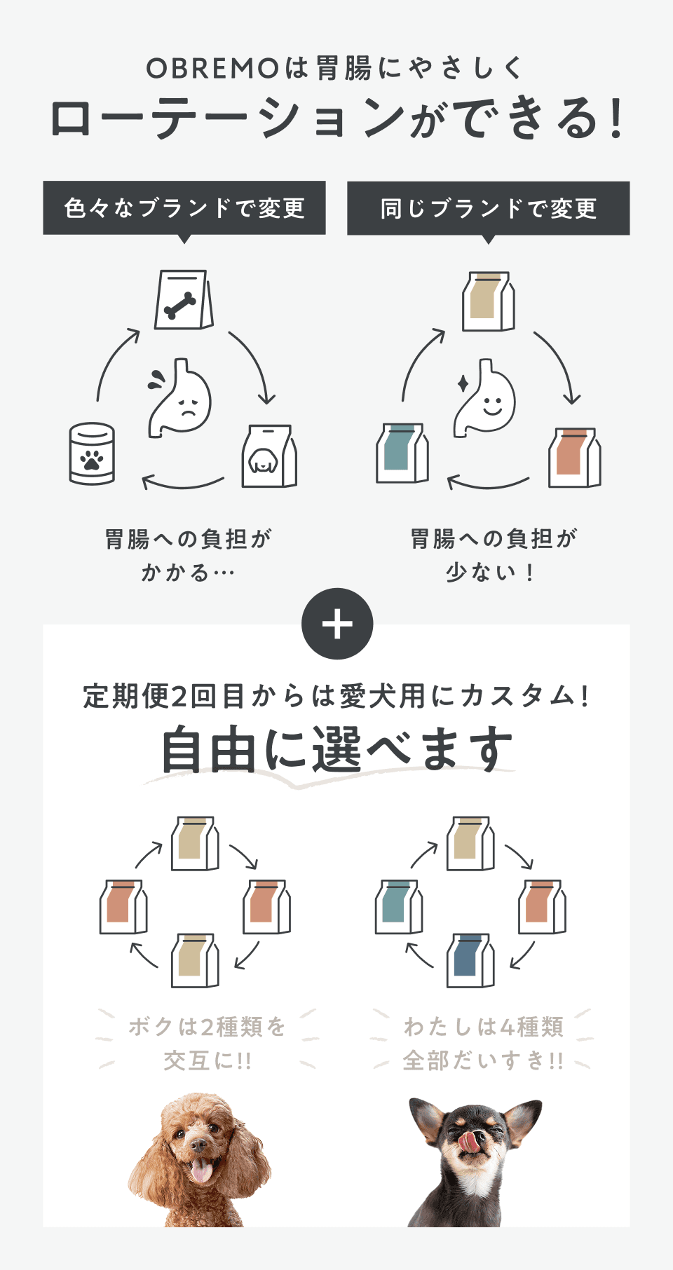 フードローテーション2