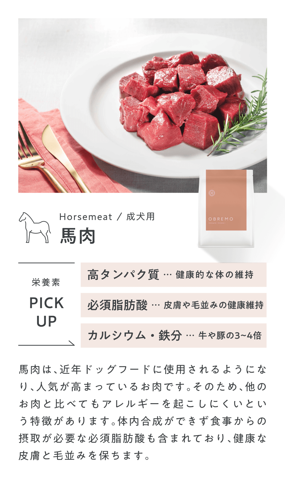 馬肉フード
