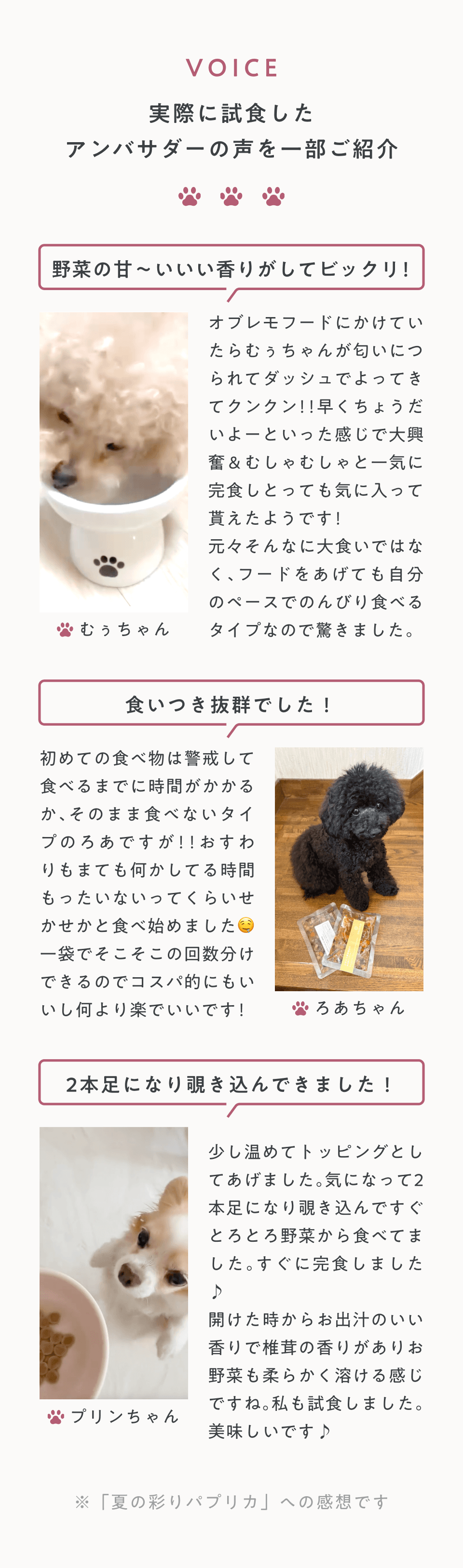アンバサダーの声