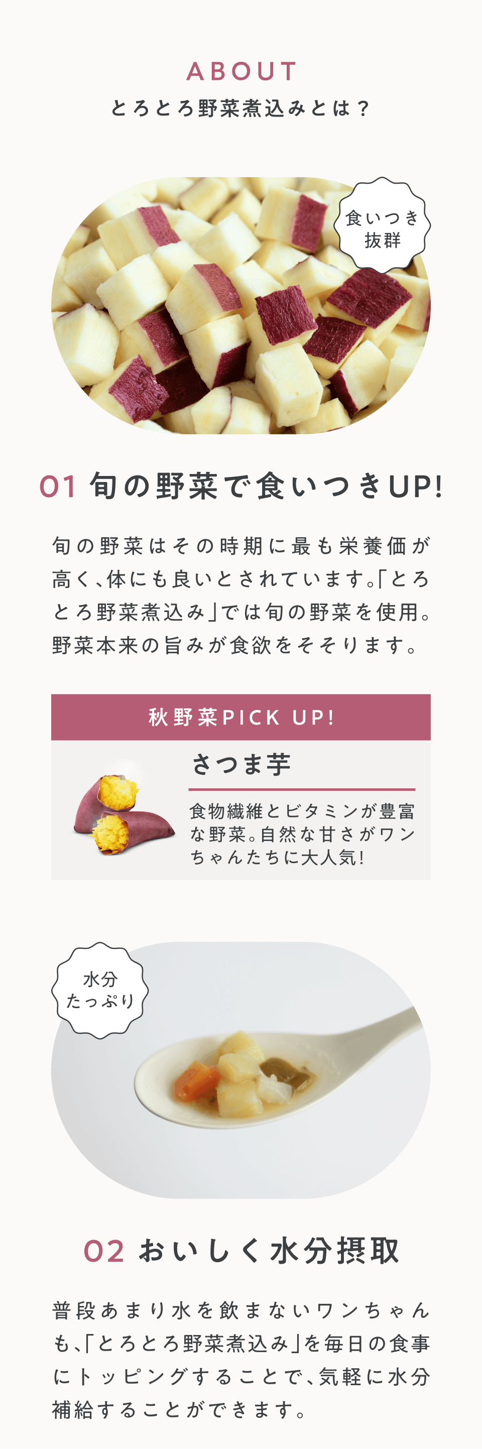 とろとろ野菜煮込みとは?_01_02